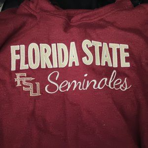college florida state  seminales hoodie